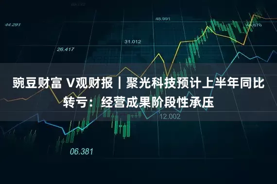 豌豆财富 V观财报｜聚光科技预计上半年同比转亏：经营成果阶段性承压