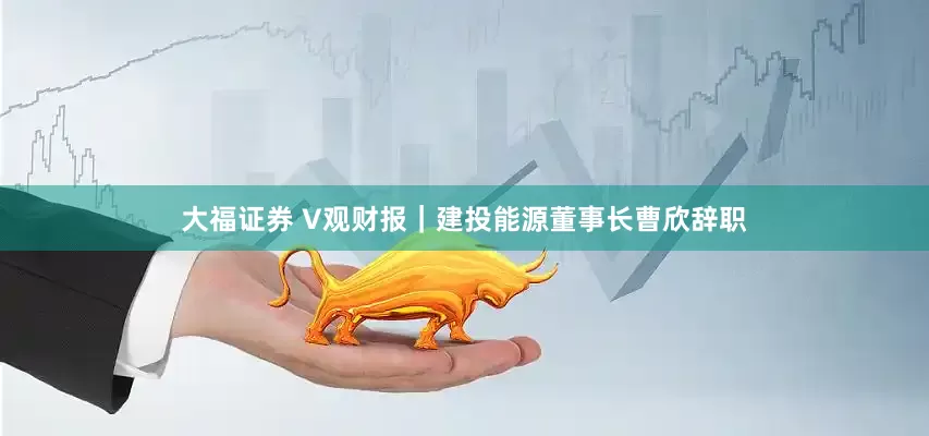 大福证券 V观财报｜建投能源董事长曹欣辞职