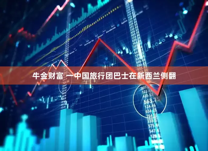 牛金财富 一中国旅行团巴士在新西兰侧翻