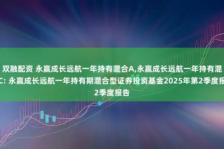 双融配资 永赢成长远航一年持有混合A,永赢成长远航一年持有混合C: 永赢成长远航一年持有期混合型证券投资基金2025年第2季度报告