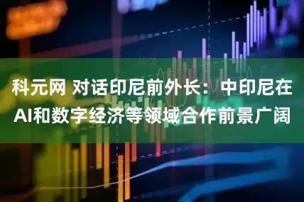 科元网 对话印尼前外长:中印尼在AI和数字经济等领域合作前景广阔